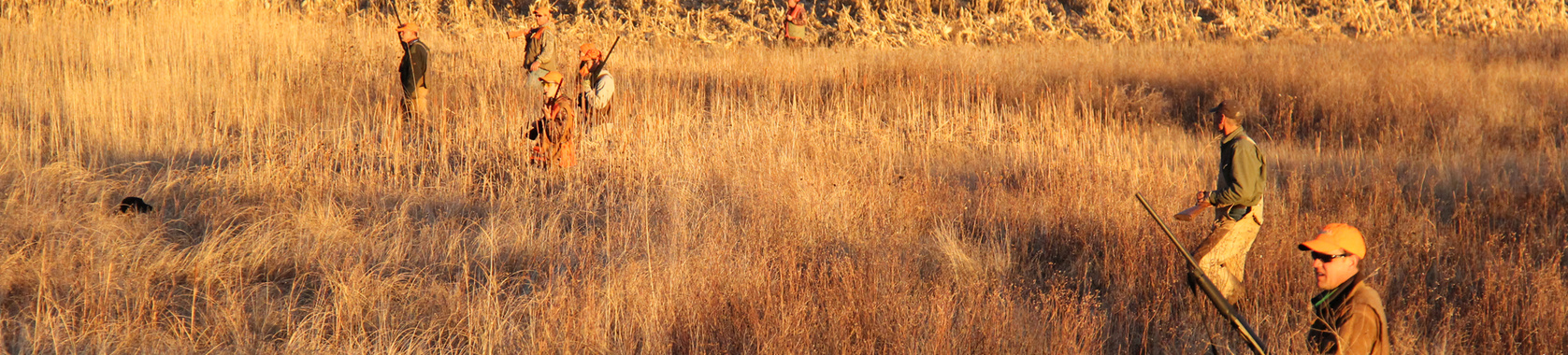 Hunting Fields at RZ Hunting  Lodge 