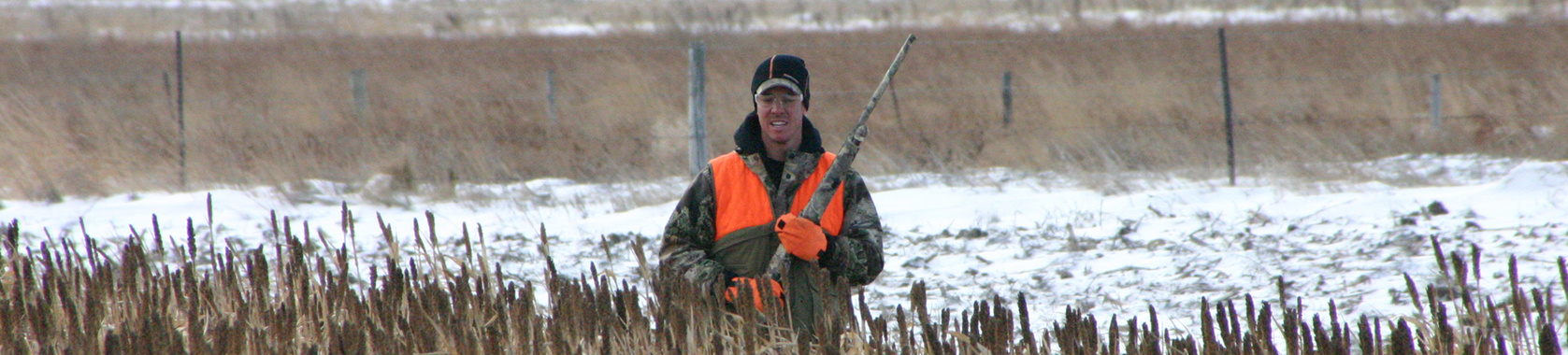 Pheasant Hunter in Zell, SD